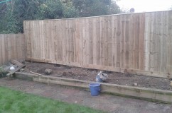 Gardener: Image 4